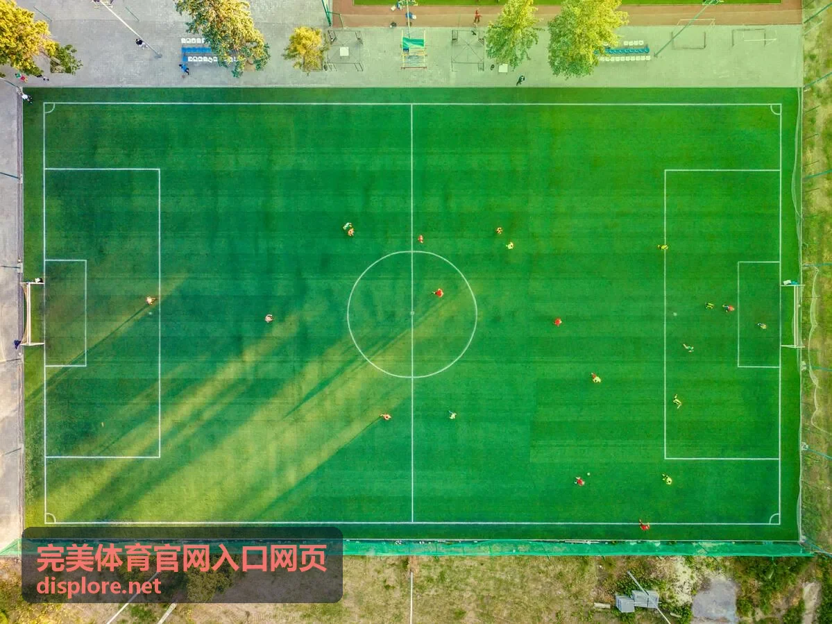 完美体育官网入口网页会员等级权益配图